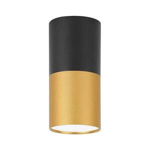 Mennyezeti lámpa TUBA 1xGU10/15W/230V 2281728 kép