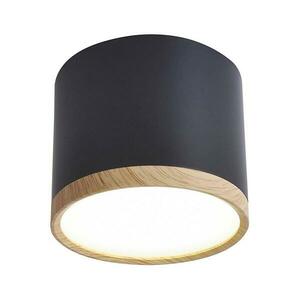 LED Mennyezeti lámpa TUBA LED/9W/230V 2275949 kép
