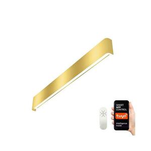 NEO 07137-G - LED SMART Dimmelhető lámpa LINEA LED/40W/230V + távirányító 76 cm 07137-G kép
