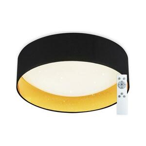 Top Light - LED Dimmelhető mennyezeti lámpa LED/24W/230V+remote irányítás fekete Ivona 40C RC kép