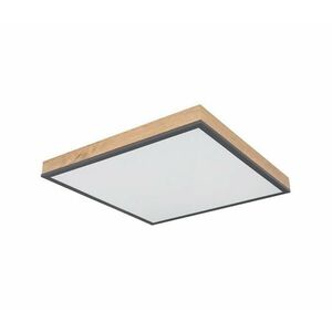 Globo 416080WD2 - LED Mennyezeti lámpa DORO LED/24W/230V 416080WD2 kép
