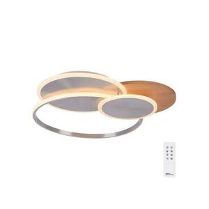 Paul Neuhaus 8328-79 - LED Dimmelhető mennyezeti lámpa PALMA LED/50W/230V + távirányító 8328-79 kép