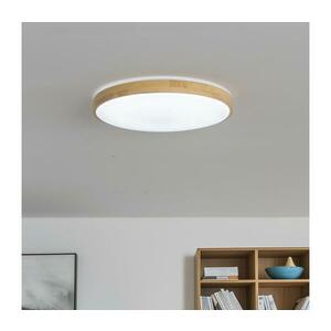 BRILAGI - dimmelhető LED mennyezeti lámpatest PINE LED/24W/230V + távirányító BRLD400-24W/LED/SD kép