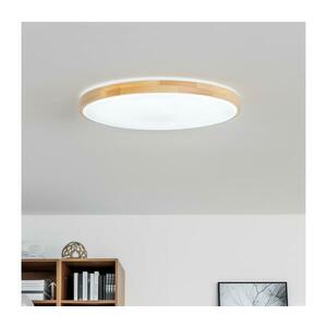 BRILAGI - LED dimmelhető mennyezeti lámpatest PINE LED/60W/230V + távirányító BRLD500-60W/LED/SD kép
