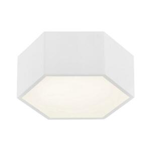 Argon 3828 - LED Mennyezeti lámpa ARIZONA LED/9W/230V fehér 3828 kép