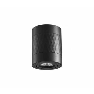 Spotlámpa RUBIN 1xGU10/10W/230V fekete 319838 kép