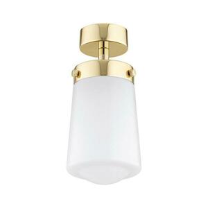 Argon 8005 - Felületre szerelhető csillár PASADENA 1xE27/15W/230V arany/fehér 8005 kép