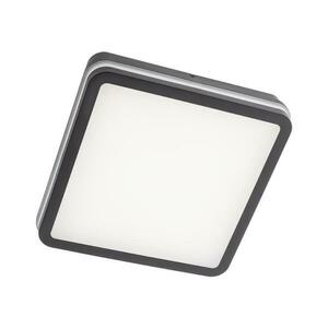 Redo 90288 - LED Kültéri lámpa ISOLA LED/24W/230V 3000/4000/6500K IP54 90288 kép