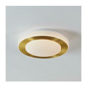 Eglo 900369 - LED Fürdőszobai mennyezeti lámpa CARPI LED/10, 8W/230V IP44 900369 kép