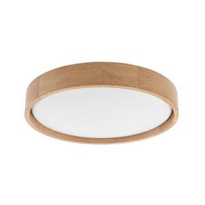 BRILAGI - MANAROLA SIMPLE LED mennyezeti lámpa 24W 230V 3000K kép