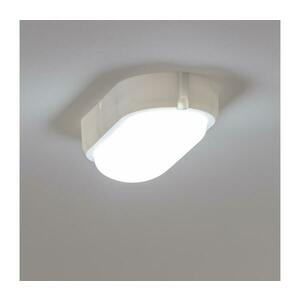 BRILAGI - Mennyezeti ipari LED lámpa SIMA LED/12W/230V IP65 fehér PD-S30124-10 kép