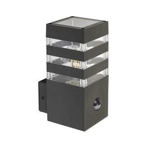 Rabalux 77025- Kültéri fali lámpa érzékelővel ANKARA 1xE27/12W/230V IP44 77025 kép