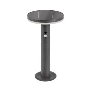 Rabalux 77018 - LED Napelemes lámpa érzékelővel ALASKA LED/10W/3, 7V IP44 77018 kép