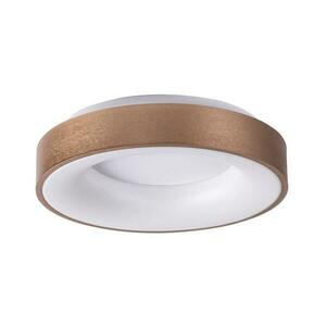 Rabalux Rabalux - LED Mennyezeti lámpa LED/30W/230V kép