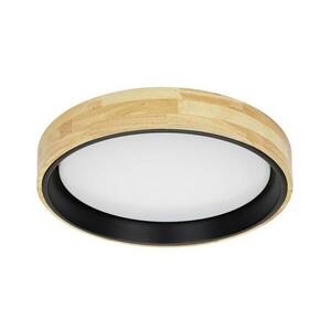 PLF-4350-25W-WD-BK-4K - LED Mennyezeti lámpa CAMPELO LED/25W/230V 4000K PLF-4350-25W-WD-BK-4K kép