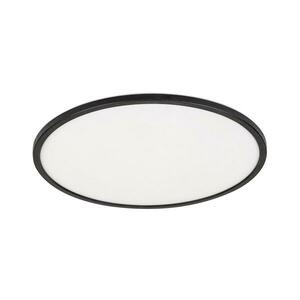 Rabalux 71157 - LED Dimmelhető mennyezeti lámpa EZIO LED/22W/230V 3000K 42 cm 71157 kép