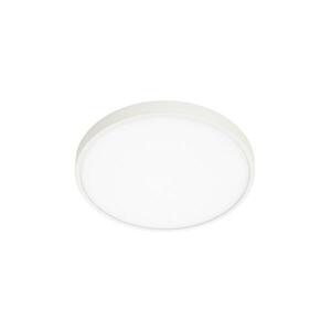 PLF-75689-WH-3K - LED Mennyezeti lámpa RIBERIO LED/30W/230V 3000K fehér PLF-75689-WH-3K kép