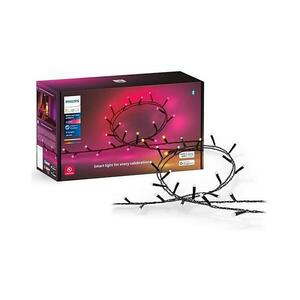Philips-LED RGBW Dimmelhető kültéri lánc HUE WACA 250xLED 24, 4 m IP54 8720169246621 kép