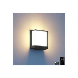 Steinel 085230 - LED Kültéri fali lámpa L40C LED/12, 9W/230V IP54 085230 kép