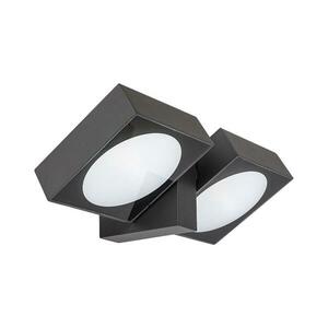 Rabalux 77101 - LED Kültéri fali lámpa TELDE 2xLED/7W/230V IP54 antracit 77101 kép