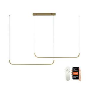 NEO 07228L - LED Dimmelhető csillár zsinóron PATTINI LED/53W/230V Tuya + távirányító 07228L kép