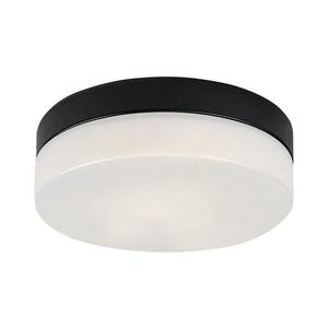 Rabalux 75026-LED Fürdőszobai mennyezeti lámpa GAELO LED/18W/230V átm. 28 cm fekete 75026 kép