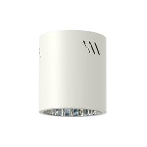 Spotlámpa GEORGE 1xE27/60W/230V átm. 11 cm fehér ML0479 kép