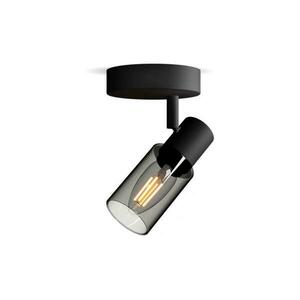 Philips - Spotlámpa PALMS 1xE14/25W/230V 8720169299276 kép