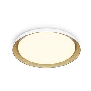 Philips - LED Dimmelhető mennyezeti lámpa PEBBLO LED/10W/230V 2700K fehér 8720169301054 kép