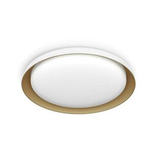 Philips - LED Dimmelhető mennyezeti lámpa PEBBLO LED/10W/230V 4000K fehér 8720169301078 kép