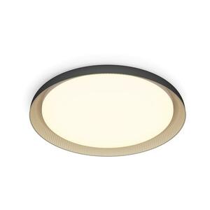 Philips - LED Dimmelhető mennyezeti lámpa PEBBLO LED/10W/230V 2700K fekete 8720169301092 kép