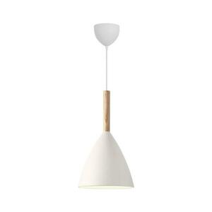 DFTP by Nordlux - Csillár zsinóron PURE 1xE27/40W/230V 43293001 kép