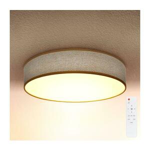 BRILAGI - CARMEN LED 48W 230V állítható mennyezeti lámpa 3000-6500K + DO WO800-OEM4 kép