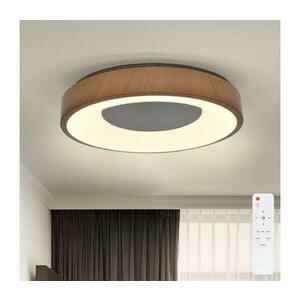 BRILAGI - DORIA LED 48W stropní stmívatelné svítidlo 3000-6500K + DO WO800-OEM10 kép