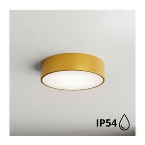 Brilagi - Fürdőszobai mennyezeti lámpa CLARE 2xE27/24W/230V átm. 30 cm IP54 arany 8590828607014 kép