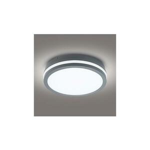 BRILAGI - LED Kültéri lámpa BENE LED/24W/230V átm. 26 cm IP54 BRI046 kép