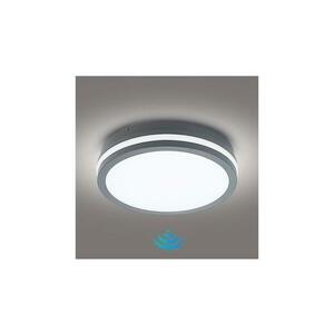 BRILAGI - BENE LED kültéri lámpa érzékelővel, LED/24W/230V, átm. 26 cm, IP54 BRI047 kép