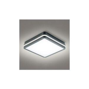BRILAGI - LED Kültéri lámpa BENE LED/24W/230V 26x26 cm IP54 BRI050 kép