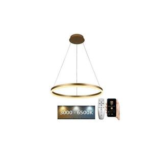BRILAGI - Dimmelhető kábeles LED függeszték CIRCLE LED/42W/230V 3000-6500K + távirányító BG-J4308/G kép