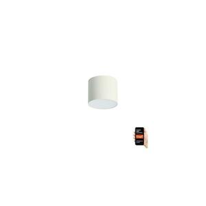 NEO 07241L - LED fényerőszabályozható lámpatest RONDATE 18W/230V 11, 5 cm Wi-Fi Tuya 07241L kép