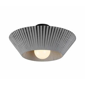 Rabalux 71248 - Mennyezeti lámpa RAVEN 1xE27/6W/230V 71248 kép