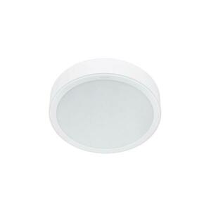Philips - LED Mennyezeti lámpa MESON LED/23, 5W/230V 4000K 8720169173521 kép