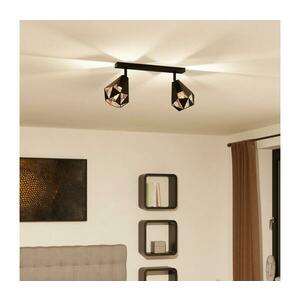 Eglo 43716 - Spotlámpa CARLTON 2xE27/40W/230V 43716 kép