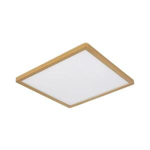Globo 41563-24MM - LED Dimmelhető mennyezeti lámpa SAPANA LED/24W/230V IP44 41563-24MM kép