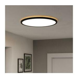 Eglo 901465-LED RGBW Dimmelhető fürdőszobai lámpa ROVITO-Z 16, 8W/230V átm. 50cm IP44 fekete 901465 kép
