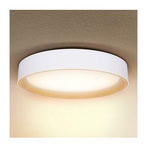 Brilagi -LED Dimmelhető lámpa LARIOS LED/60W/230V 3000-6500K ø 49 cm fehér + távirányító WO800-OEM18 kép