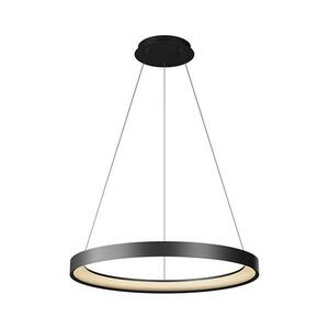Top Light-LED Dimmelhető csillár zsinóron ORBIT LED/40W/230V 3000-6500K átm. 50 cm fekete + távirányító Orbit 50CZ RC kép
