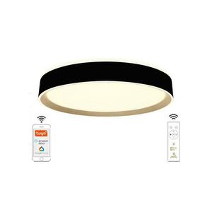 LED állítható mennyezeti lámpa 48W 230V 2700-6500K Wi-Fi Tuya + távirányító LC902MB kép