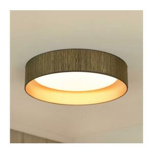 BRILAGI - VEGAS SHINE LED/24W/230V fényerőszabályozható világítótest, barna/arany + távirányító 609166 kép