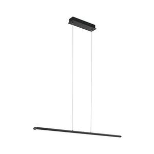 Eglo 93896 - PELLARO LED 30W 230V állítható fényű függeszték kábellel 93896 kép